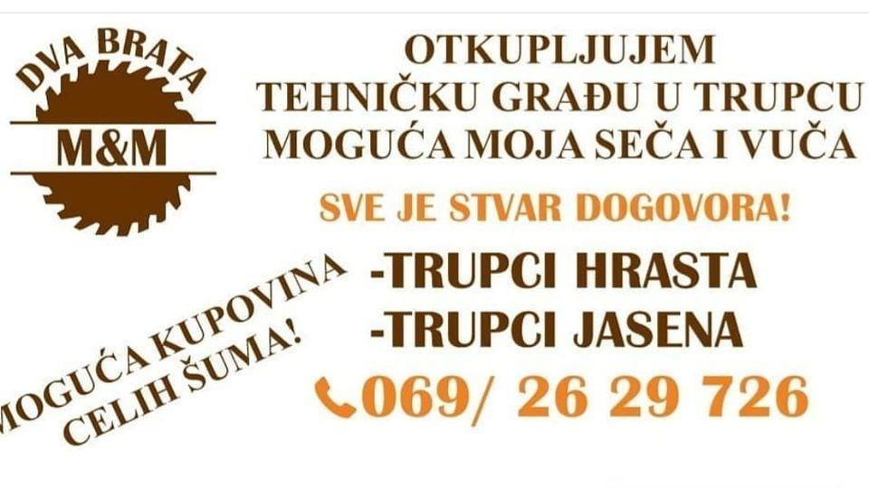 Trupci