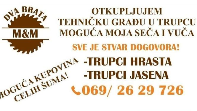 Trupci