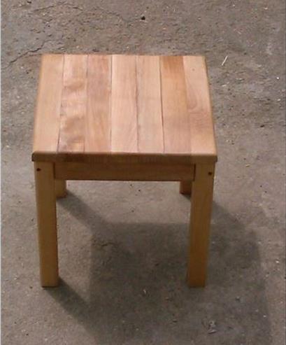 Stocic-ili-hoklica