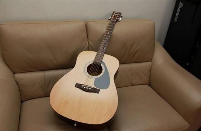 Yamaha F310P