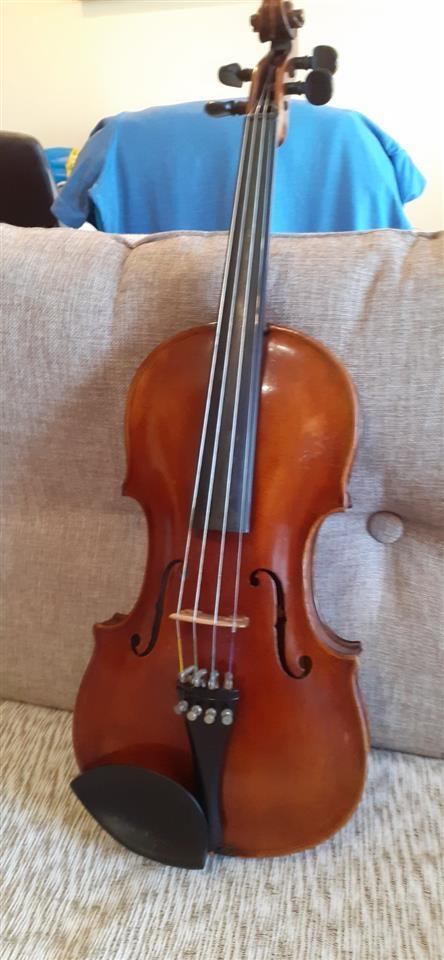 Violina