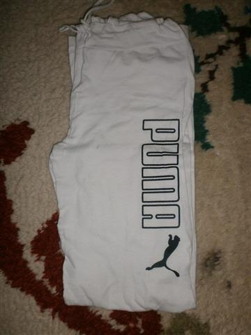 Puma trenerka
