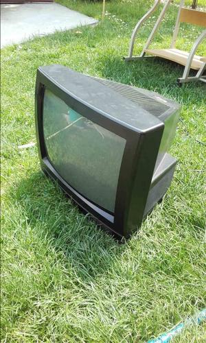 Televizor