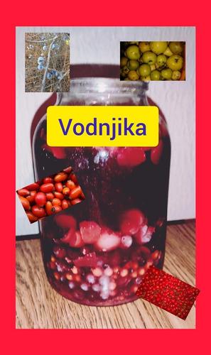 Vodnjika