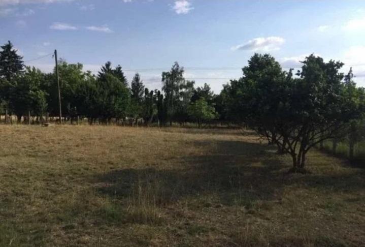 Prodajem-kucu-sa-velikim-placem-Obrez