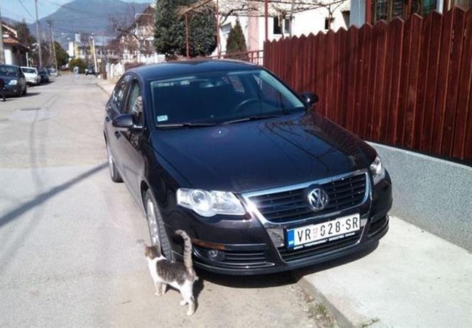 VW Passat 1,9 tdi -05