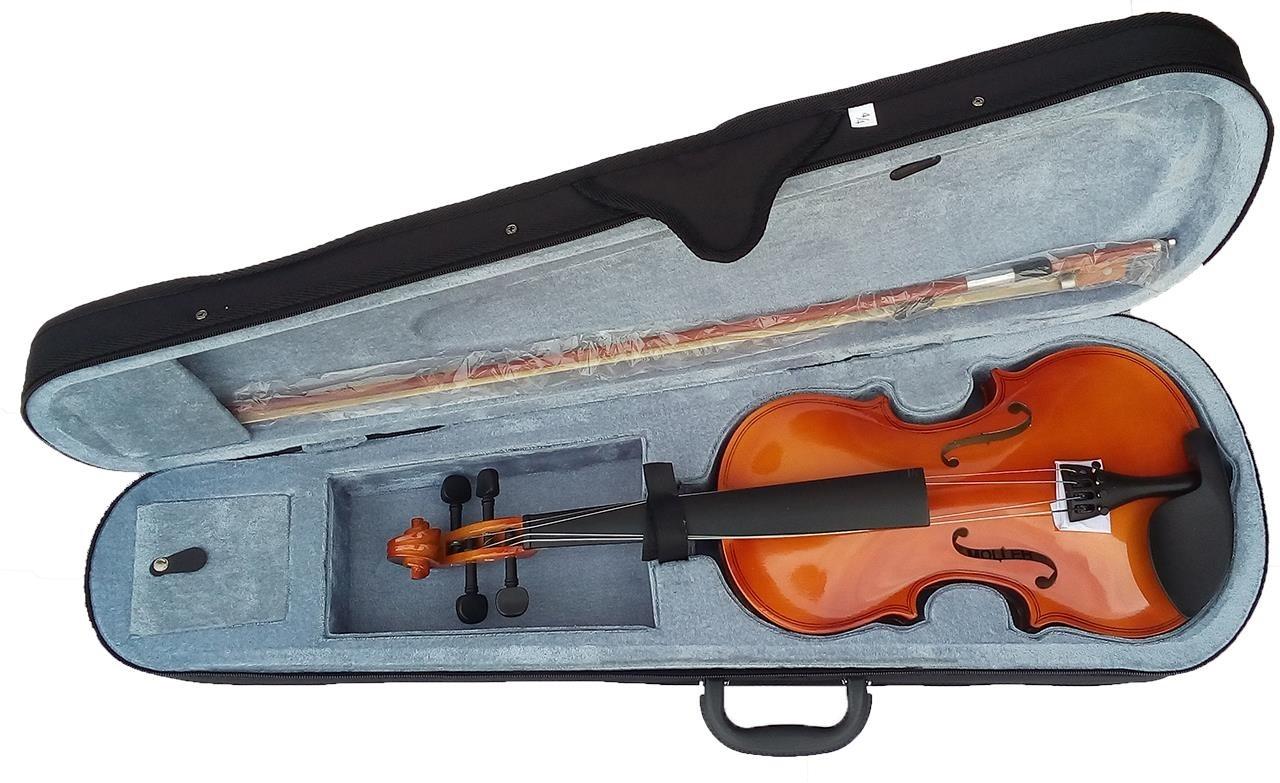 Violina