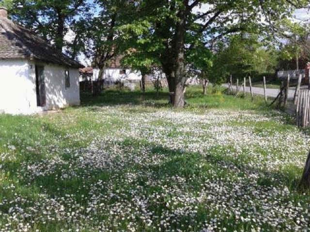Imanje-u-Bacevac-Barajevo