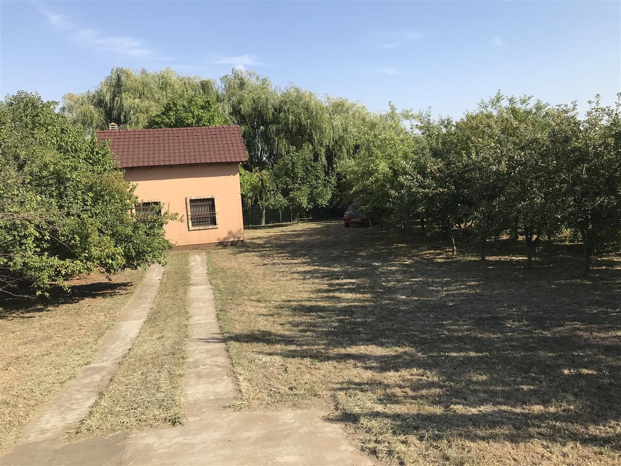 Vikendica-Čurug-Buserno-ostrvo