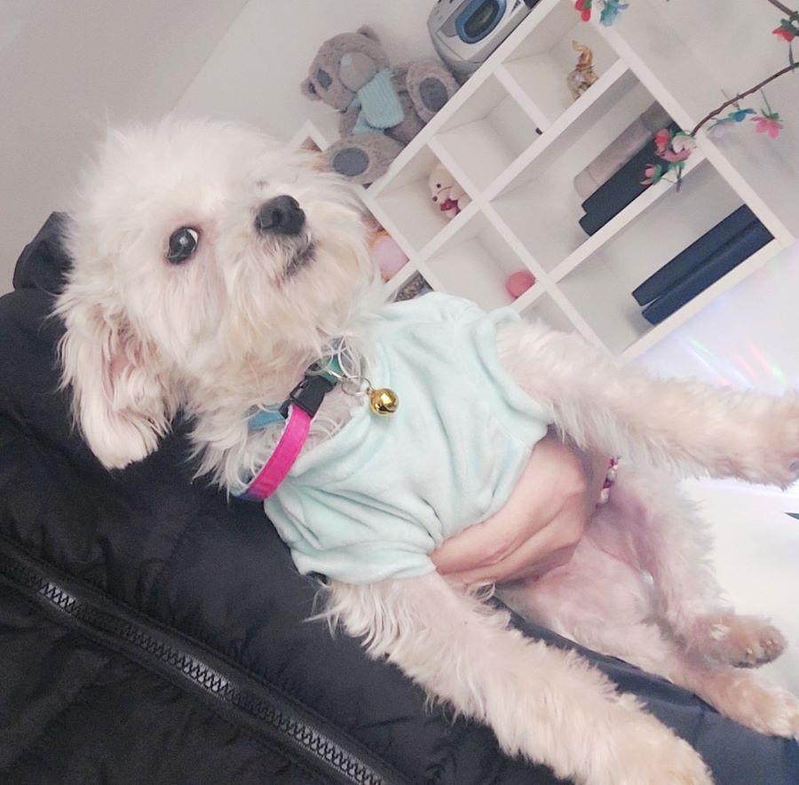 Mini-maltezer
