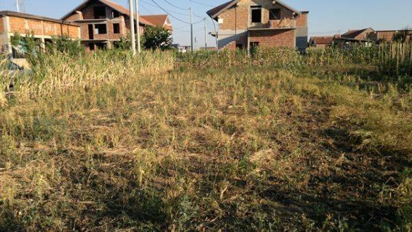 Plac 800 m2 - Surčin, Beograd