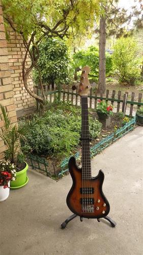 R Custom handmade  5 strings bass