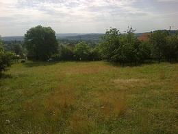 Plac od 6000m2 Kosmaj