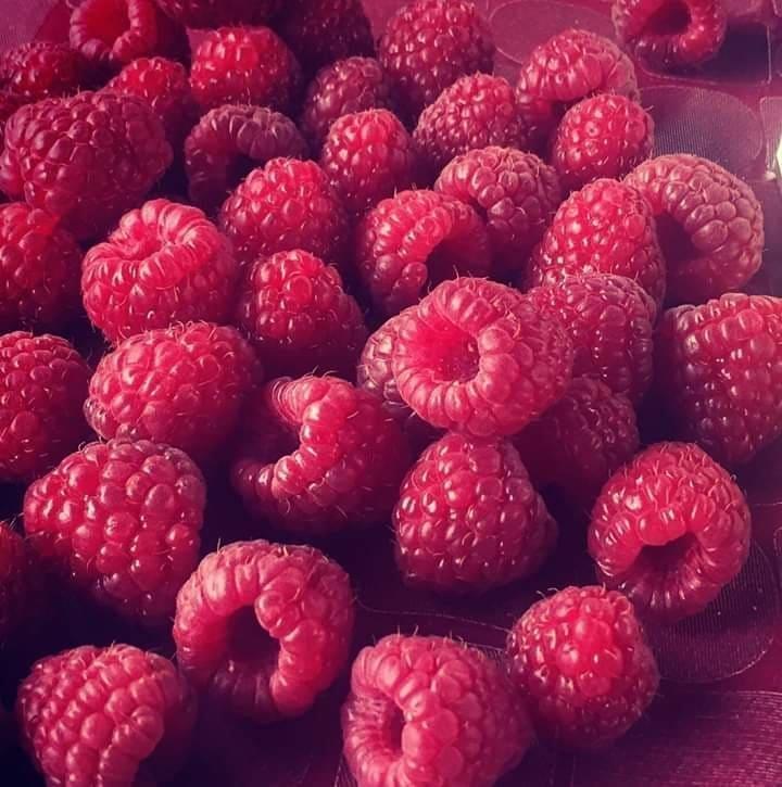 BERBA-MALINA