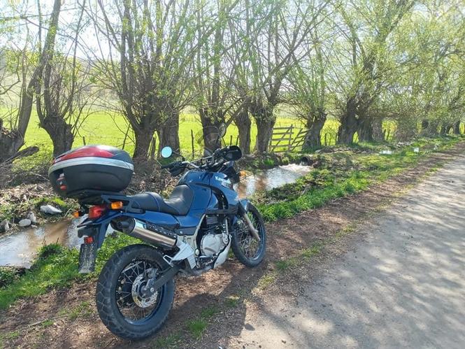 Kavasaki kle 500