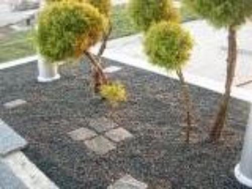 Darvin-garden-dizajn