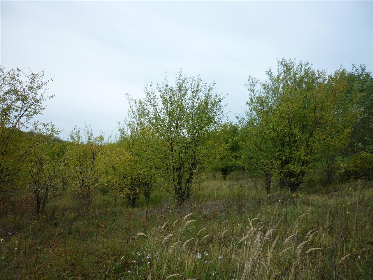 Zeleznik-15a