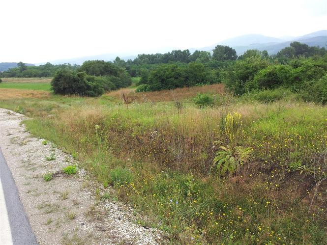Plac 1000m2