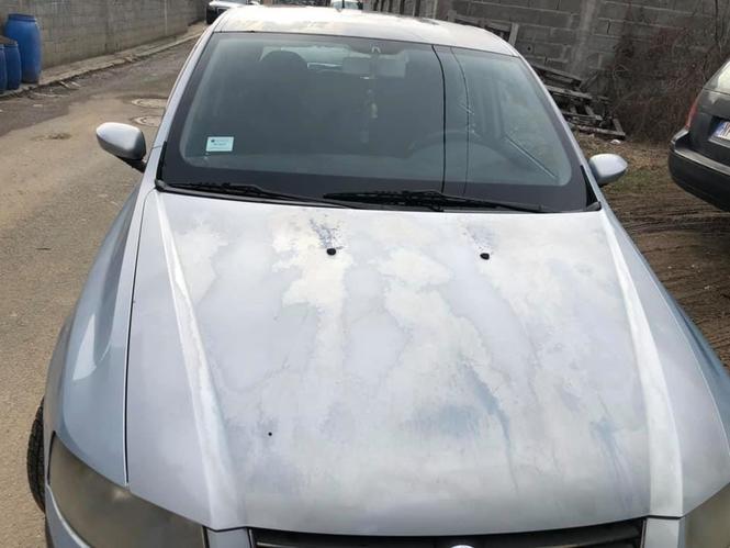 Fiat stiglo
