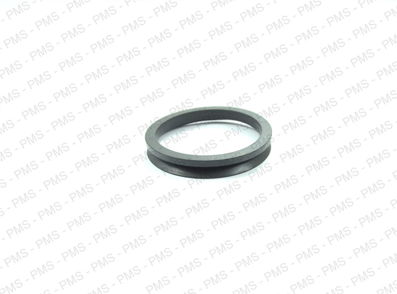 DANA-Ring-Types--Oem-Parts