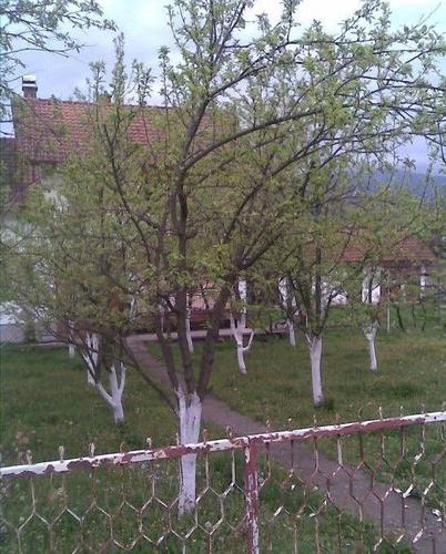 Kuca u Kraljevo