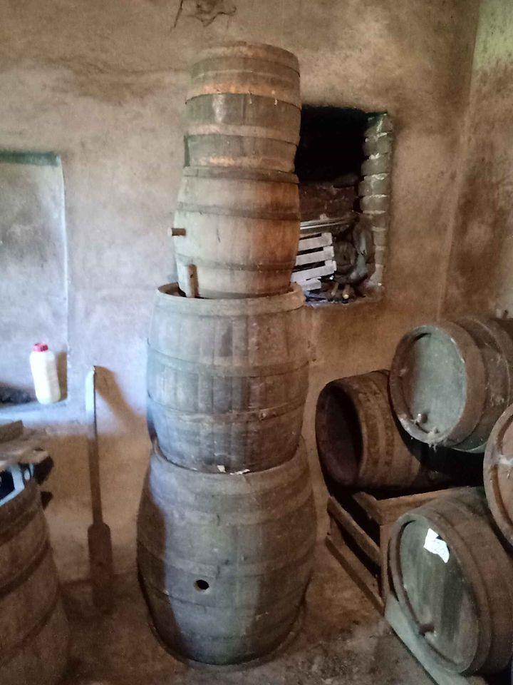 Burici