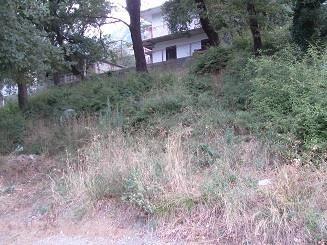 Prodajem-ili-menjam-plac-u-Sutomoru