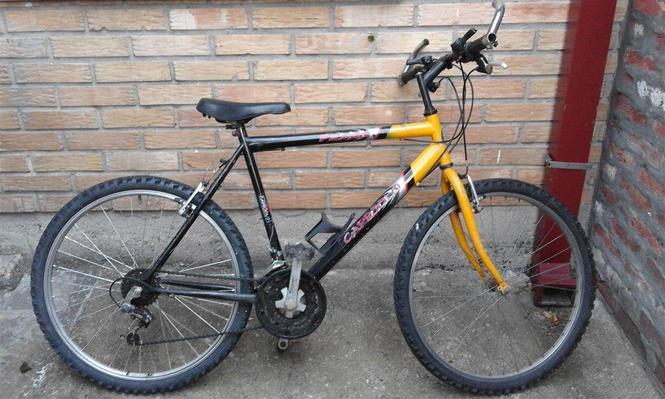 Bicikl Capriolo ( Passat )  [PRODAJEM]