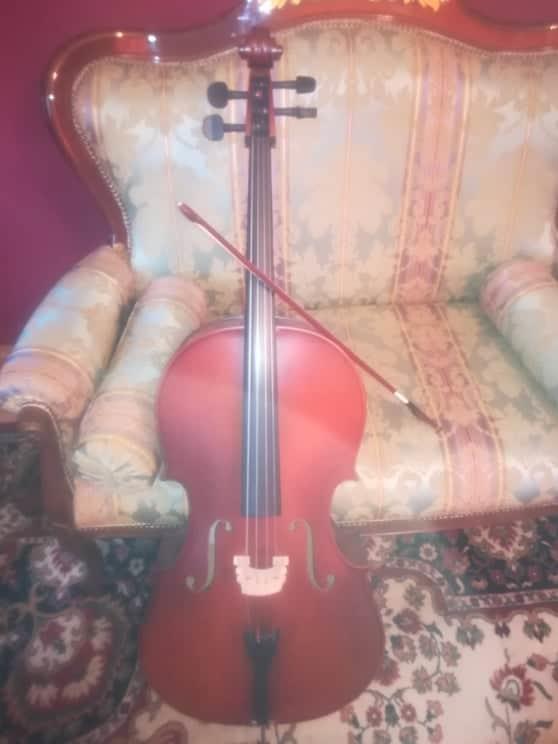 Violoncelo