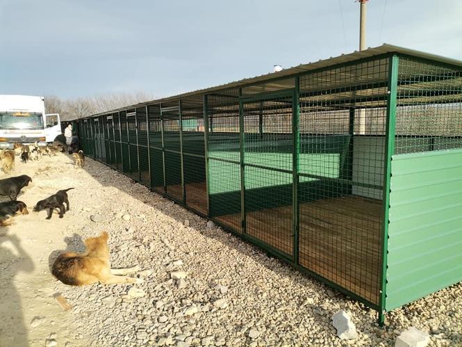 Boks, kavez za psa 0628626042