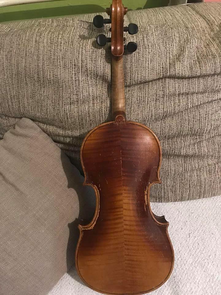 Violina