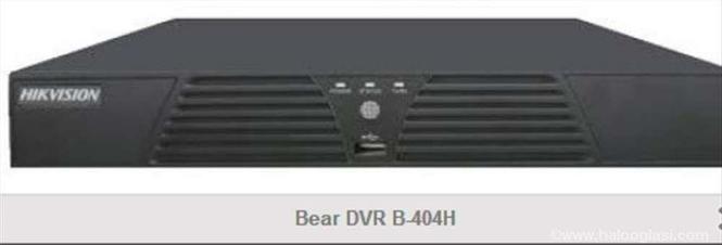 dvr bear b404