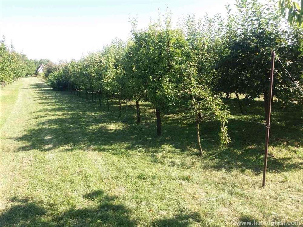 Vikendica Na Prodaju Marjanov Brod Zrenjanin 3 Zrenjanin