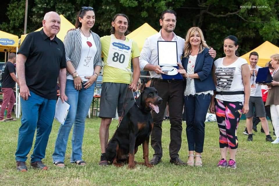Doberman-štenad-