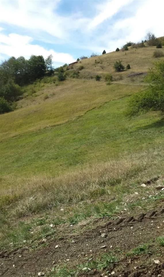 Plac-ispod-Cigote-Zlatibor