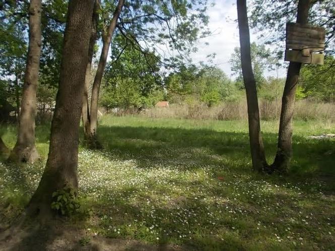 PLAC U ZABRANU KOD OBRENOVCA