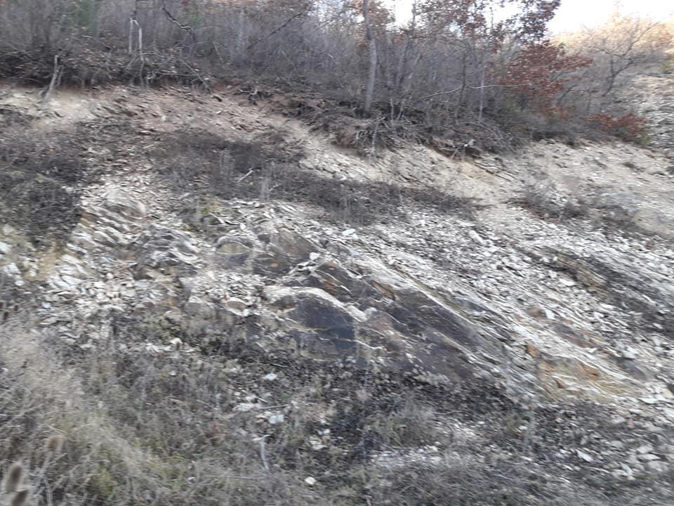 MAJDAN
