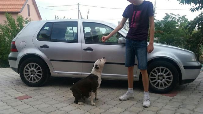 VW Golf 4 tdi -02 18000km EXTRA