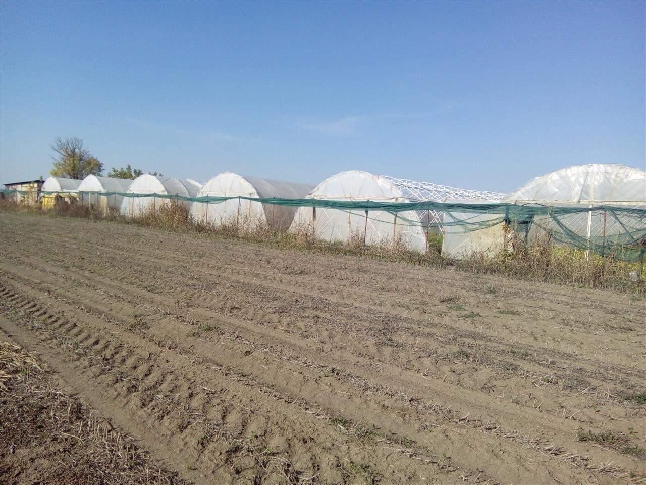 plastenici-i-gazdinstvo