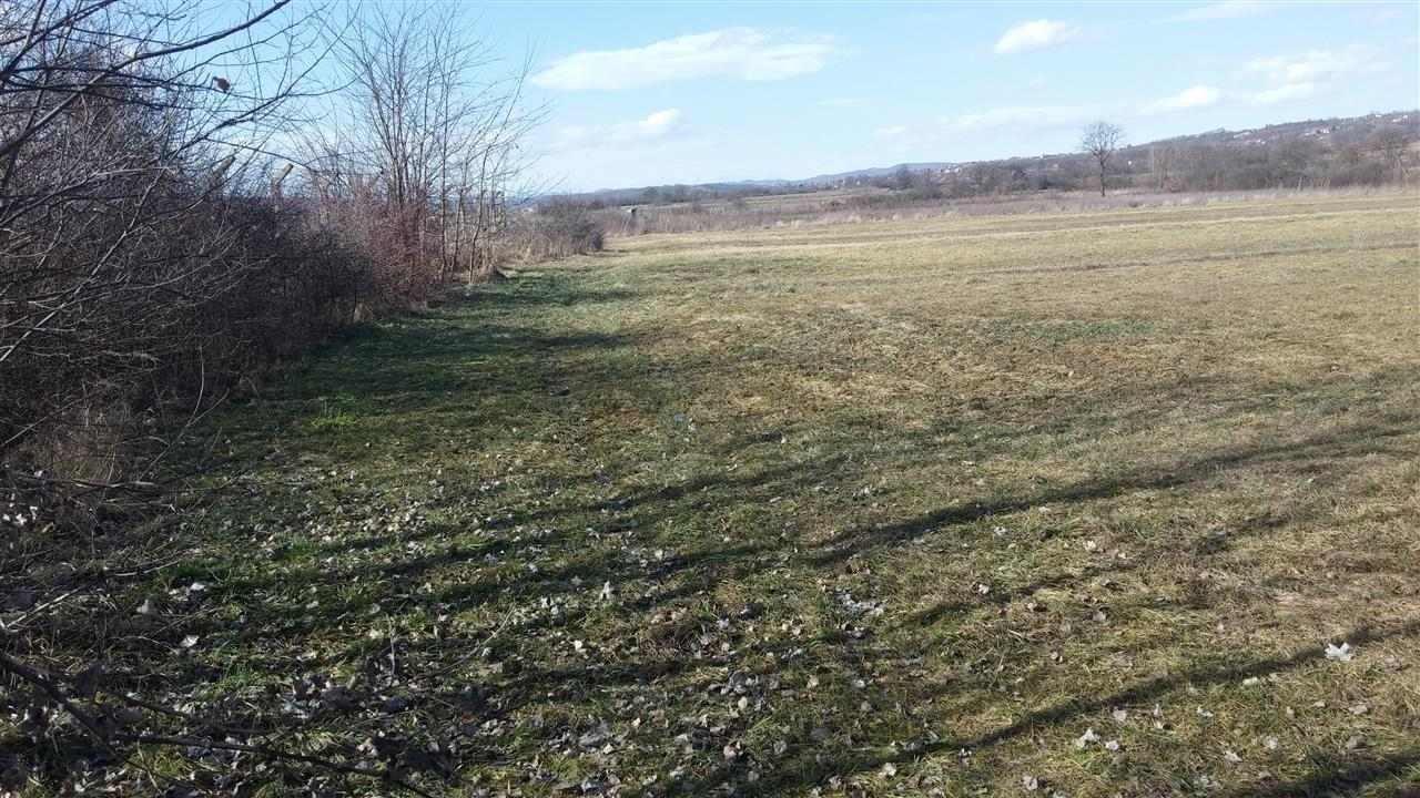 Plac-Donja-Trepča--Čačak