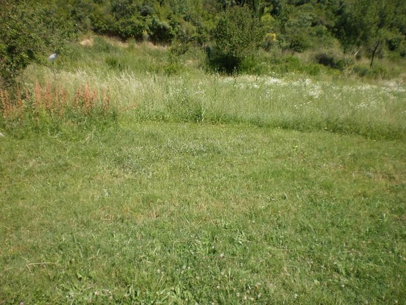 PLAC-U-IGALU