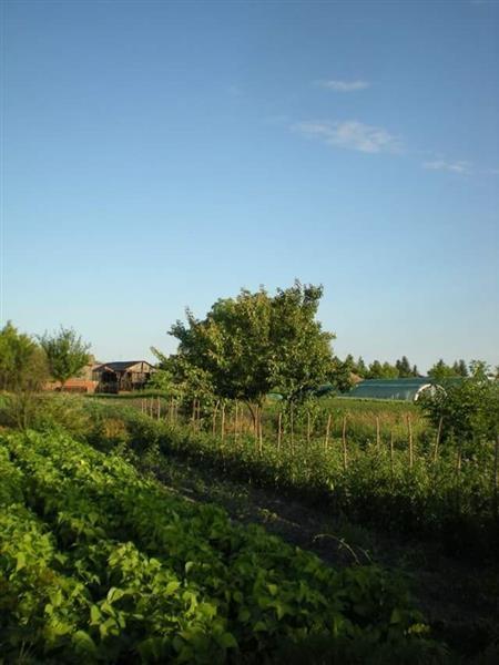 Kuca-od-100m2--10-ari-u-Jermenovcima