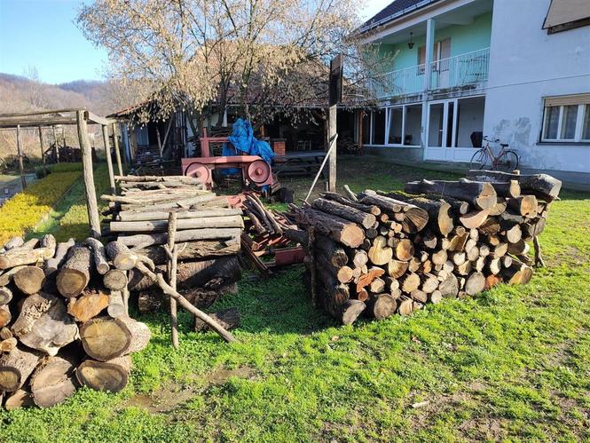 Prodajem drva osušena 