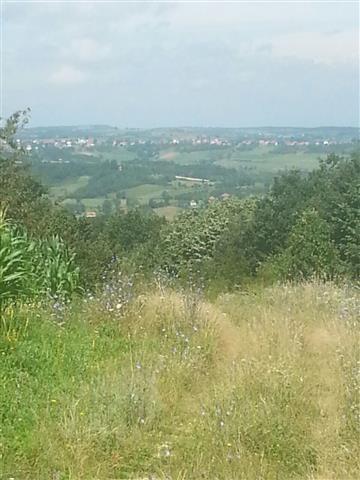 Plac-u-Beogradu--35-ari--HITNO