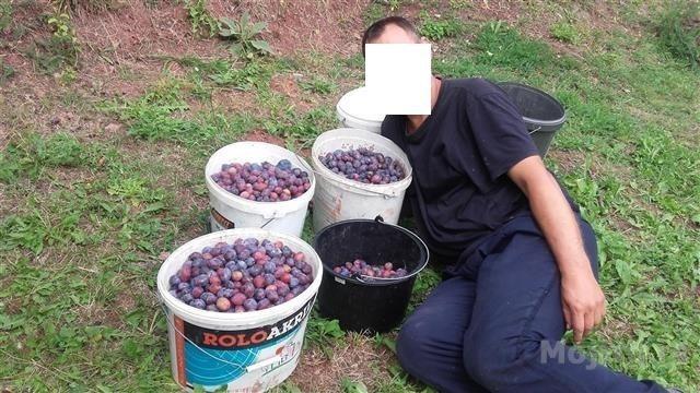 DOMAĆA RAKIJA