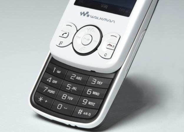 Sony Ericsson w 100 i