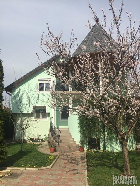 Kuca-Palic