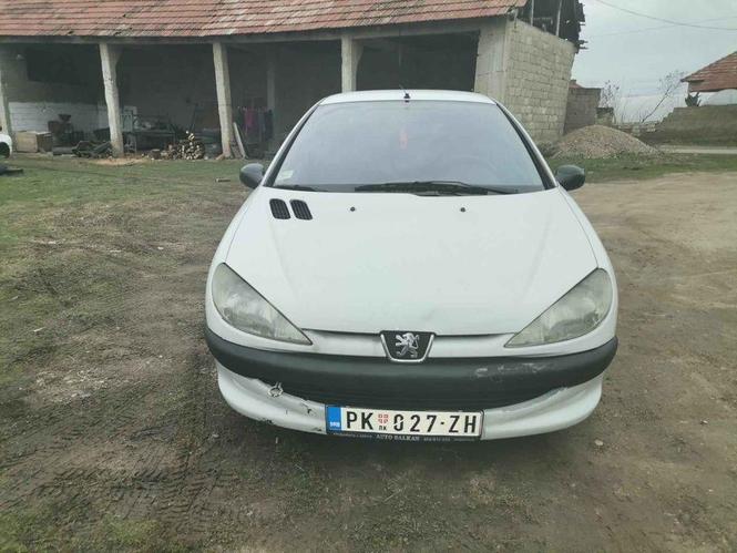 Pezo 206