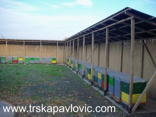 Proizvodi-od-trske