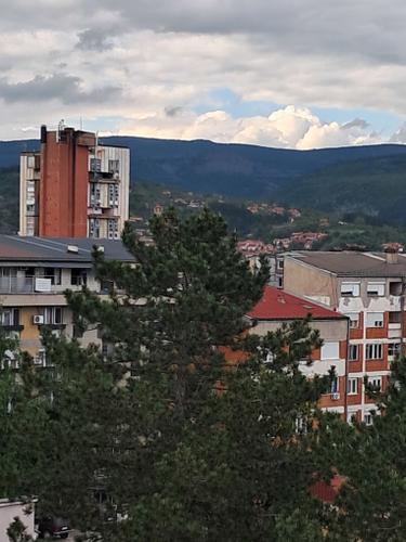 pomoć u kući Pirot